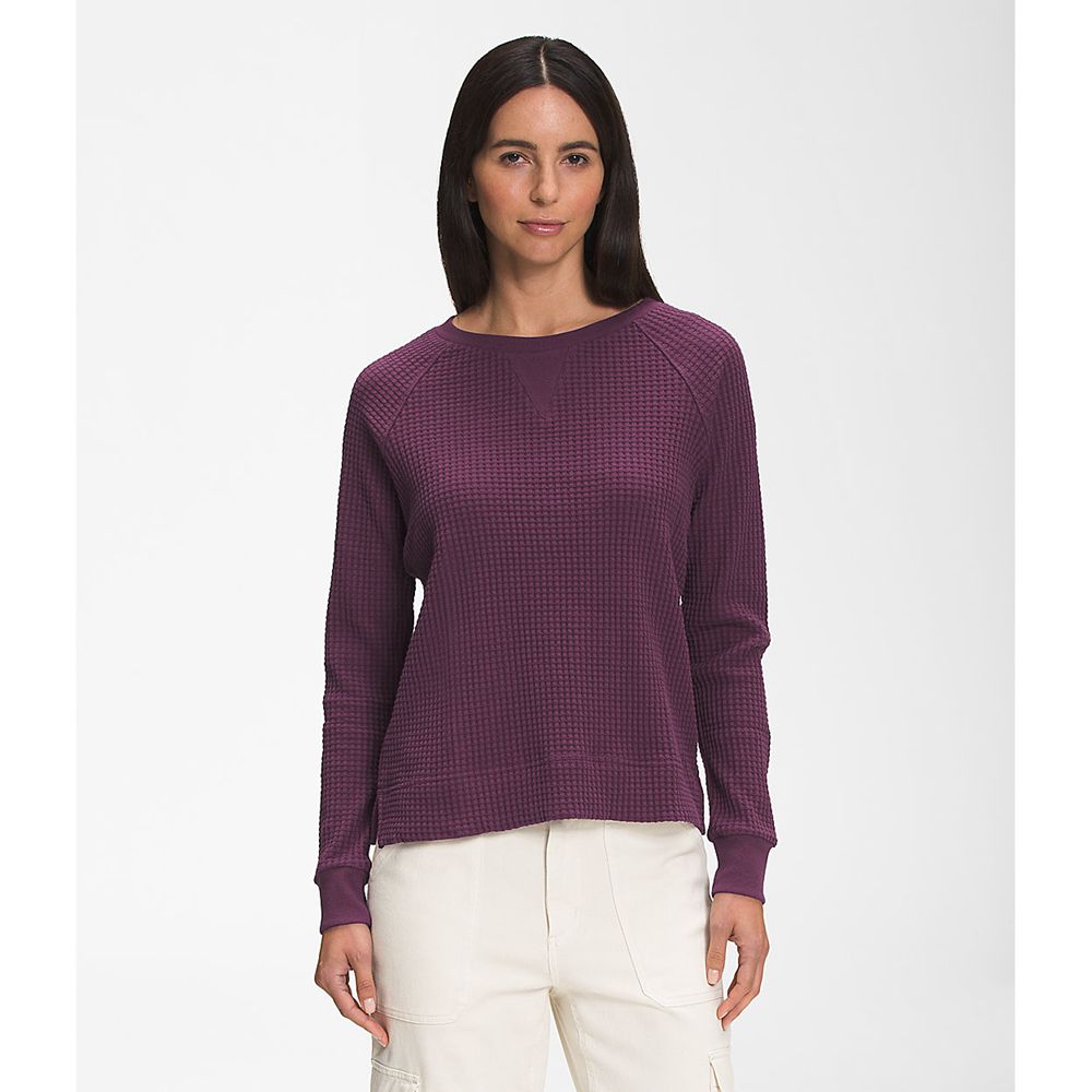 The North Face Long Sleeve Womens Australia - The North Face Chabot Crew Burgundy / Black (MAH-81746